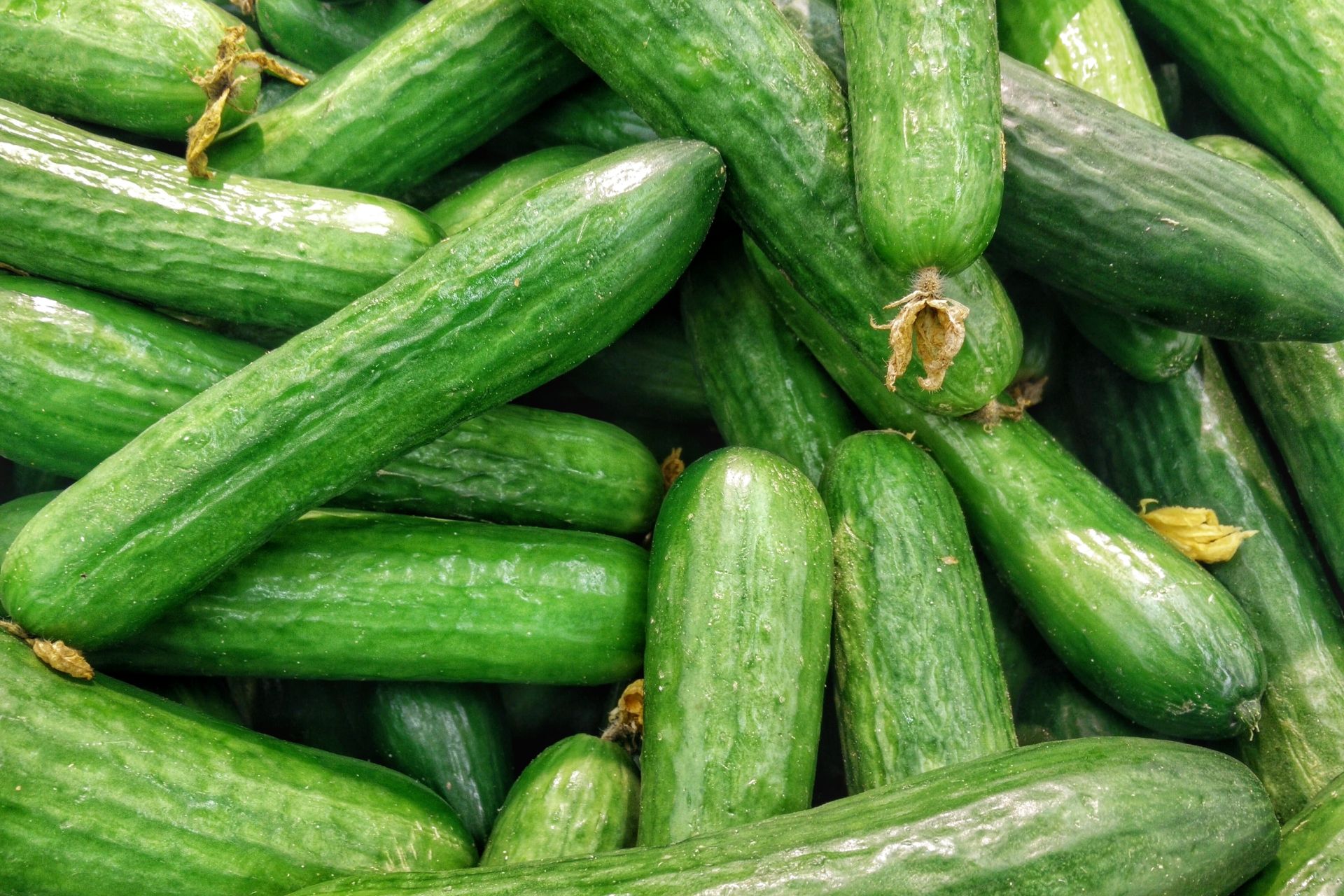 A Guide to the Different Types of Cucumbers, Cooking School